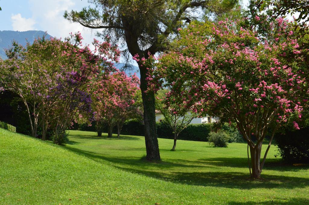 Tenuta Torellone San Potito Sannitico Εξωτερικό φωτογραφία