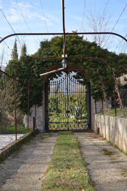 Tenuta Torellone San Potito Sannitico Εξωτερικό φωτογραφία
